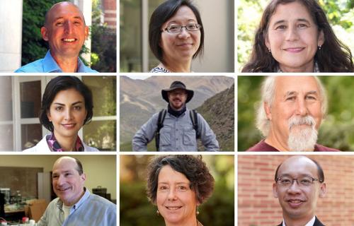 Collage of UCLA faculty elected to American Association for the Advancement of Science for 2024