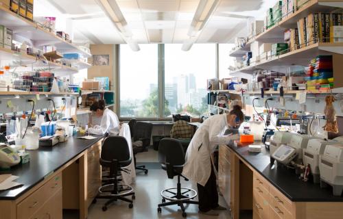 Students researching in the lab